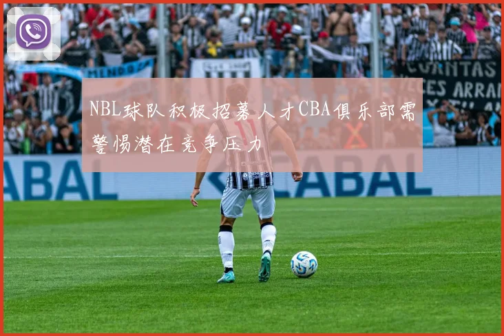 NBL球队积极招募人才CBA俱乐部需警惕潜在竞争压力